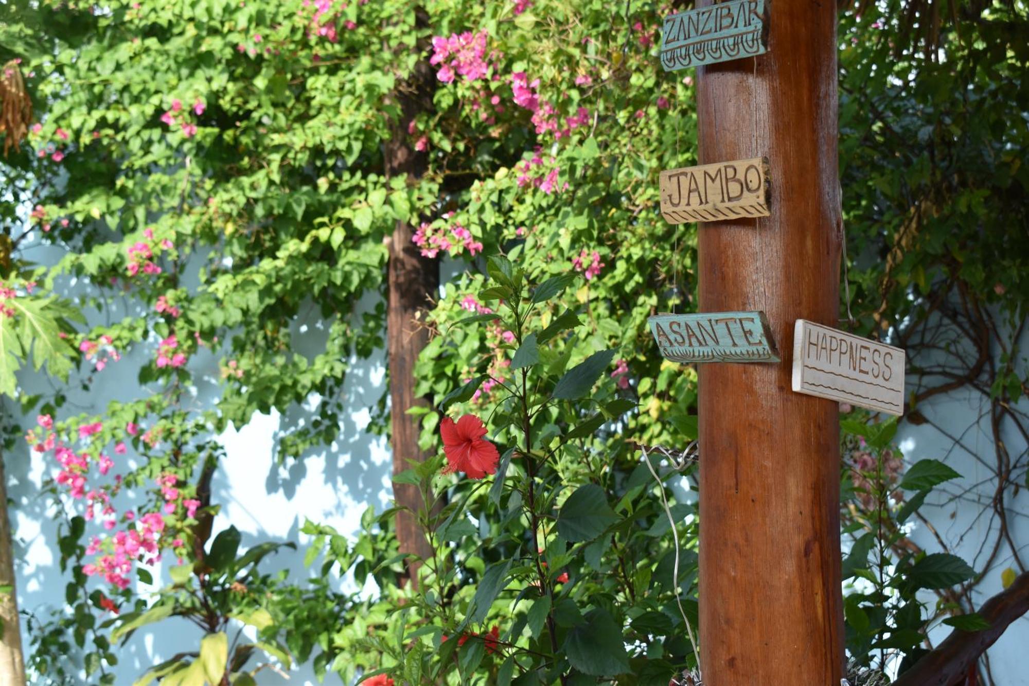 Bed and Breakfast Pineapple House à Nungwi Extérieur photo